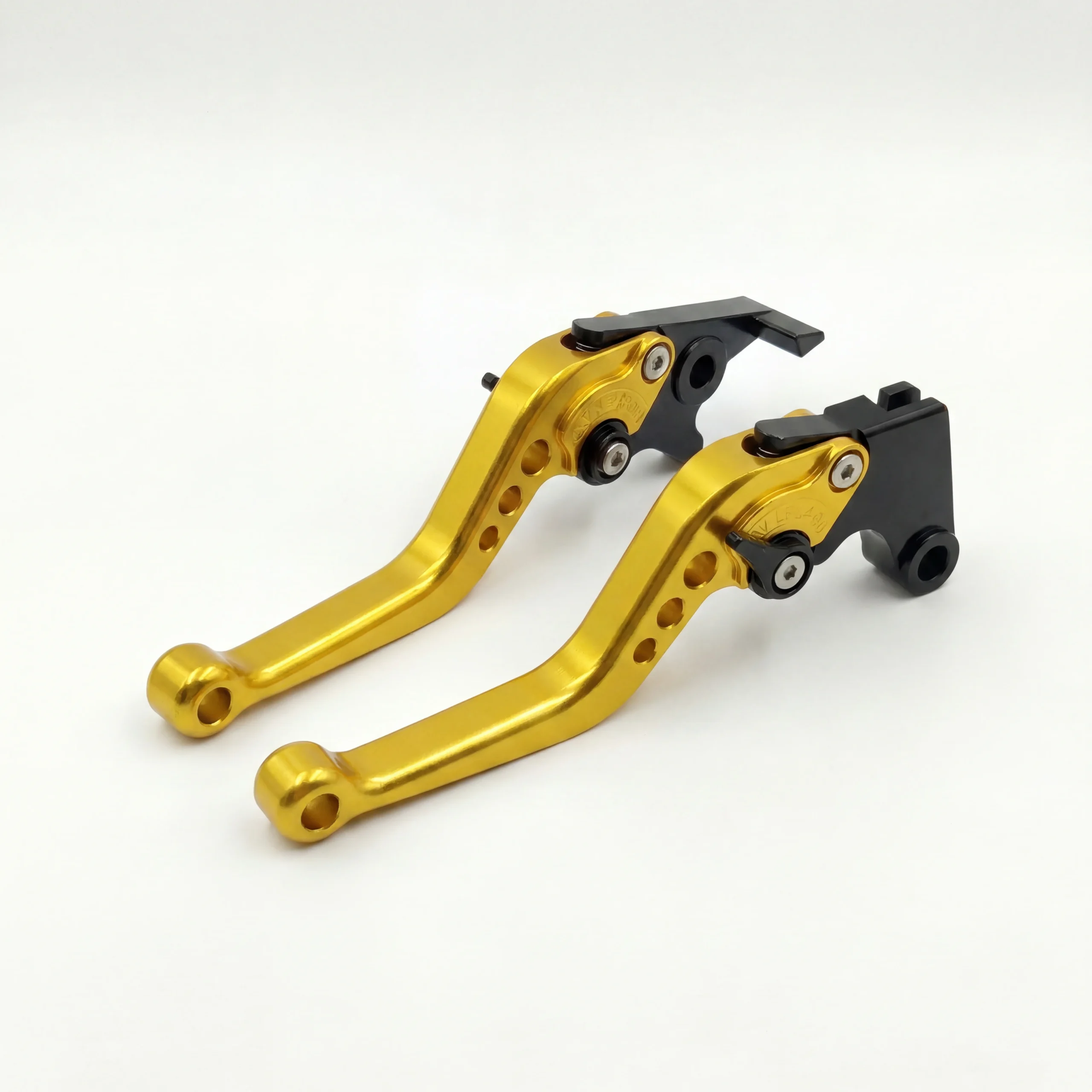 Levers 1 Leviers C90 - Ray Leopard