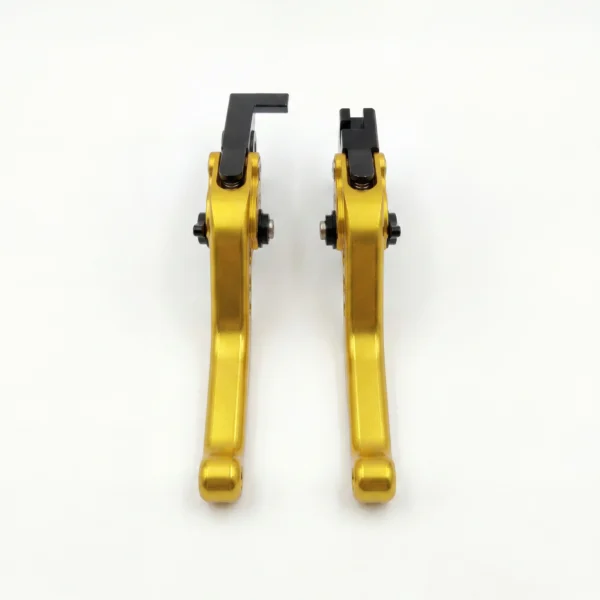 Levers 2 Leviers C90 - Ray Leopard