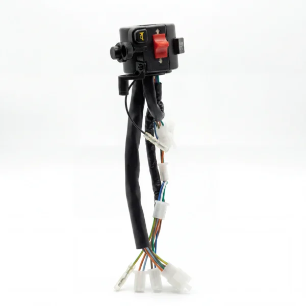 Switch (2) Interrupteur C90